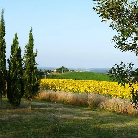 Saint Laurent 1330 Chemin De Saint Laurent Apartamento *