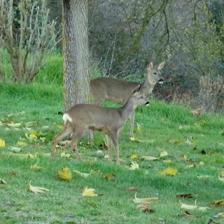 Apartamento Saint Laurent 1330 Chemin De Saint Laurent