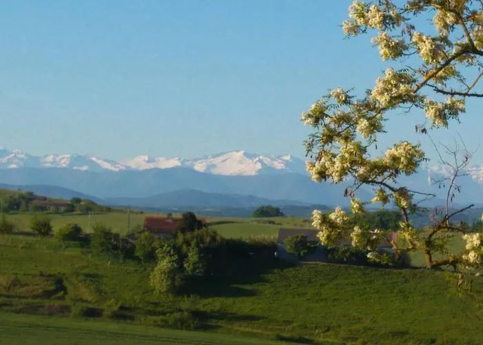 Saint Laurent 1330 Chemin De Saint Laurent Apartment