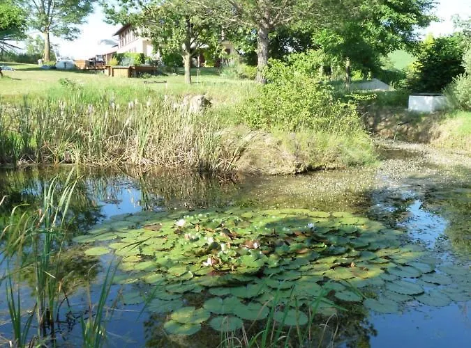 Saint Laurent 1330 Chemin De Saint Laurent 公寓 *