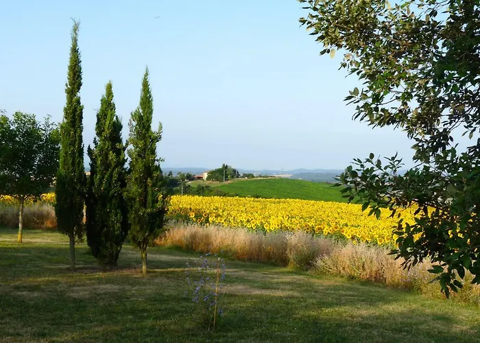Saint Laurent 1330 Chemin De Saint Laurent Apartament *